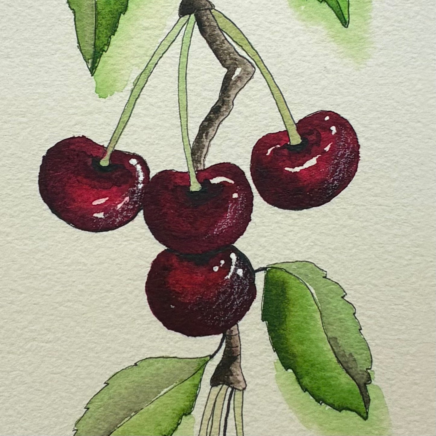 Cherry
