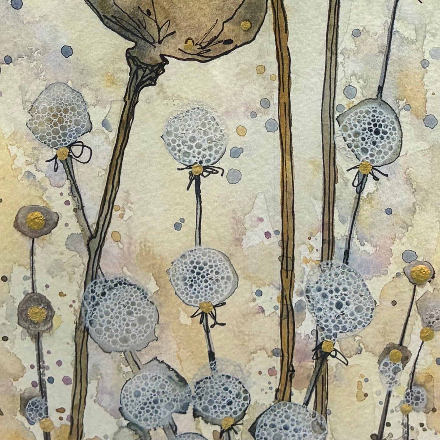 Poppy Heads
