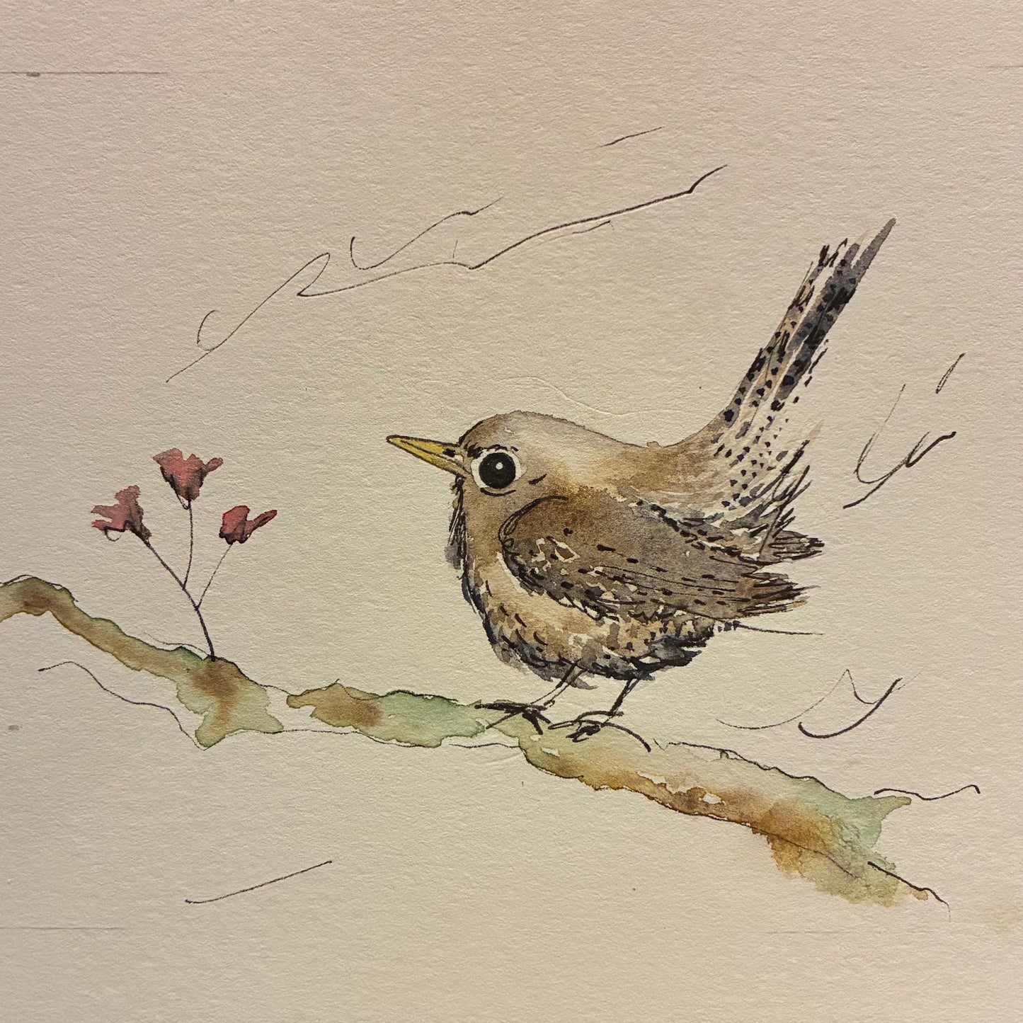 Jenny Wren