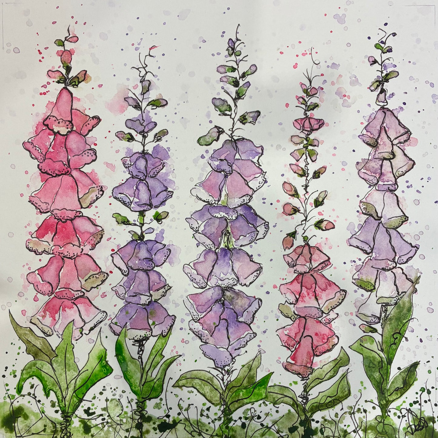 Foxgloves