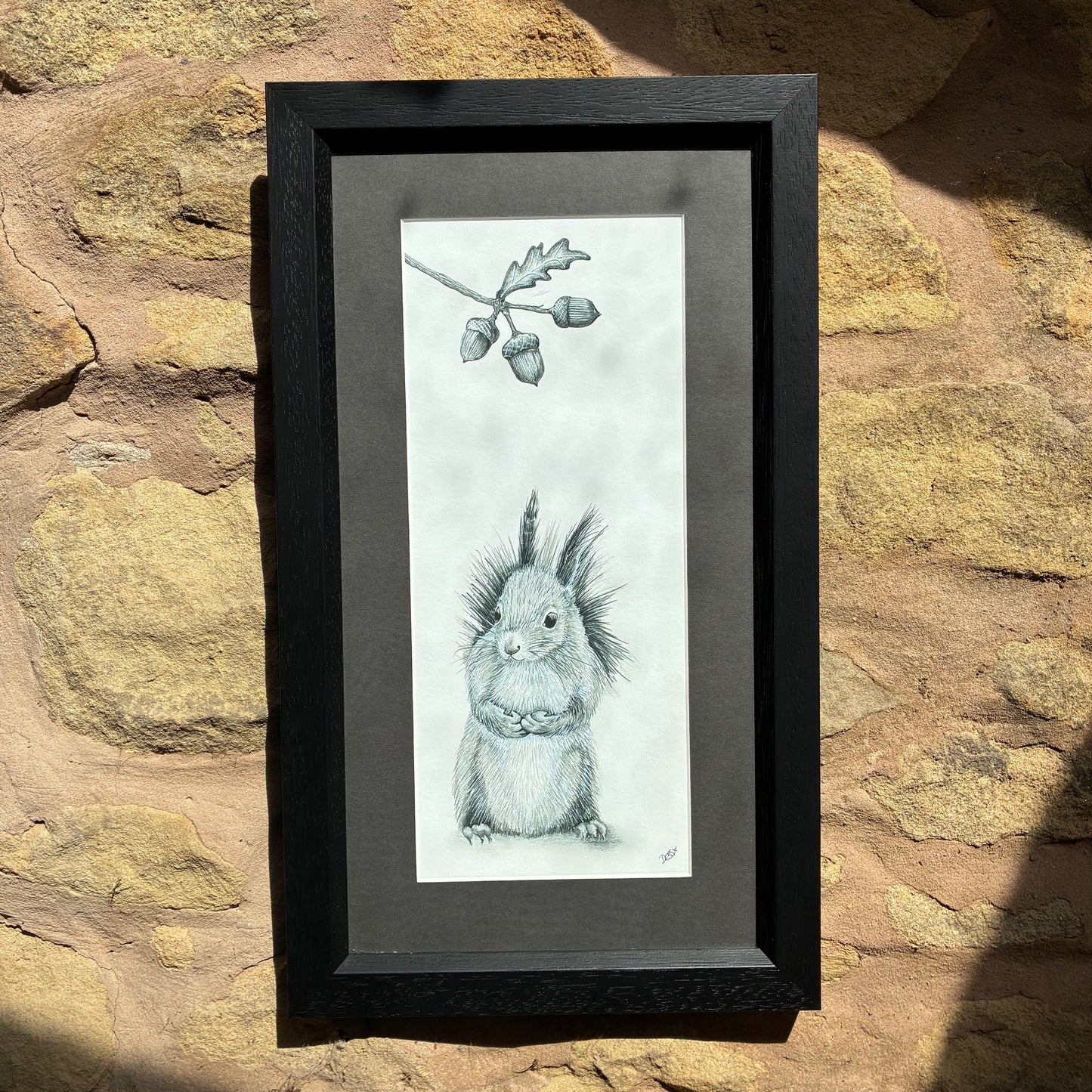 Framed Sweet Squirrel
