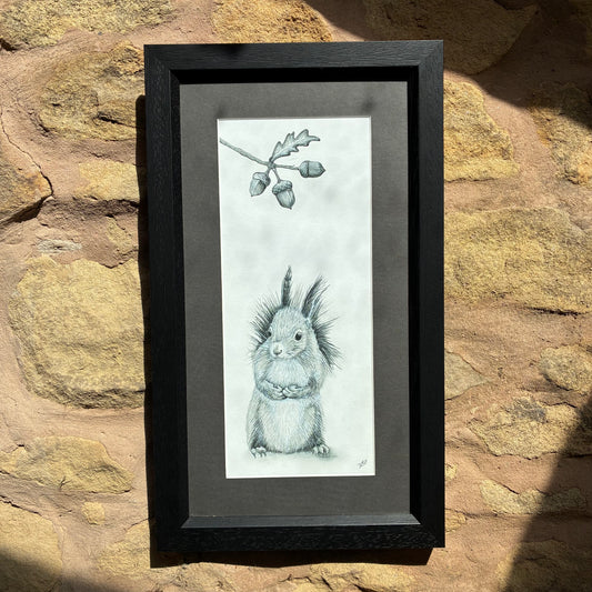 Framed Sweet Squirrel