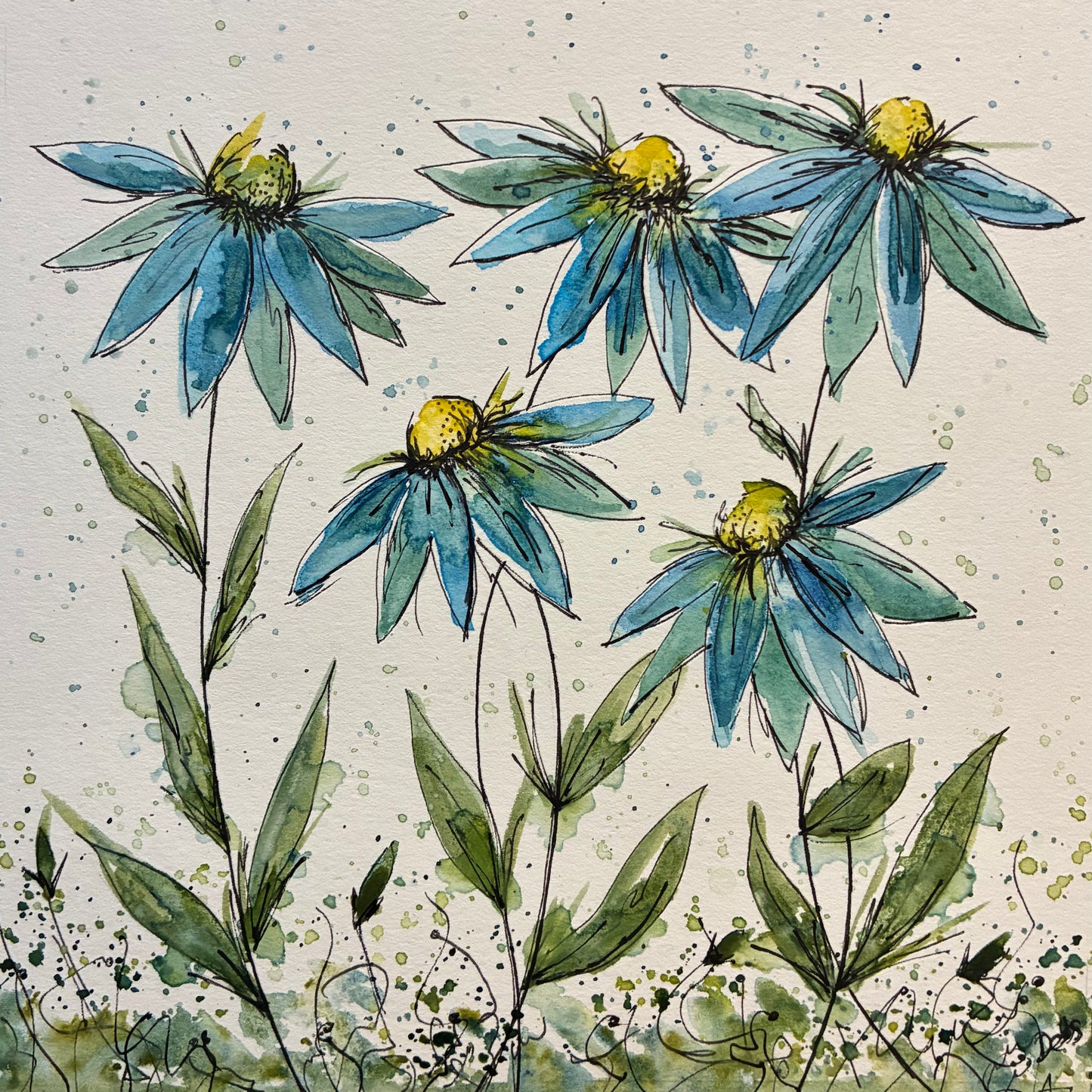 Blue Daisys
