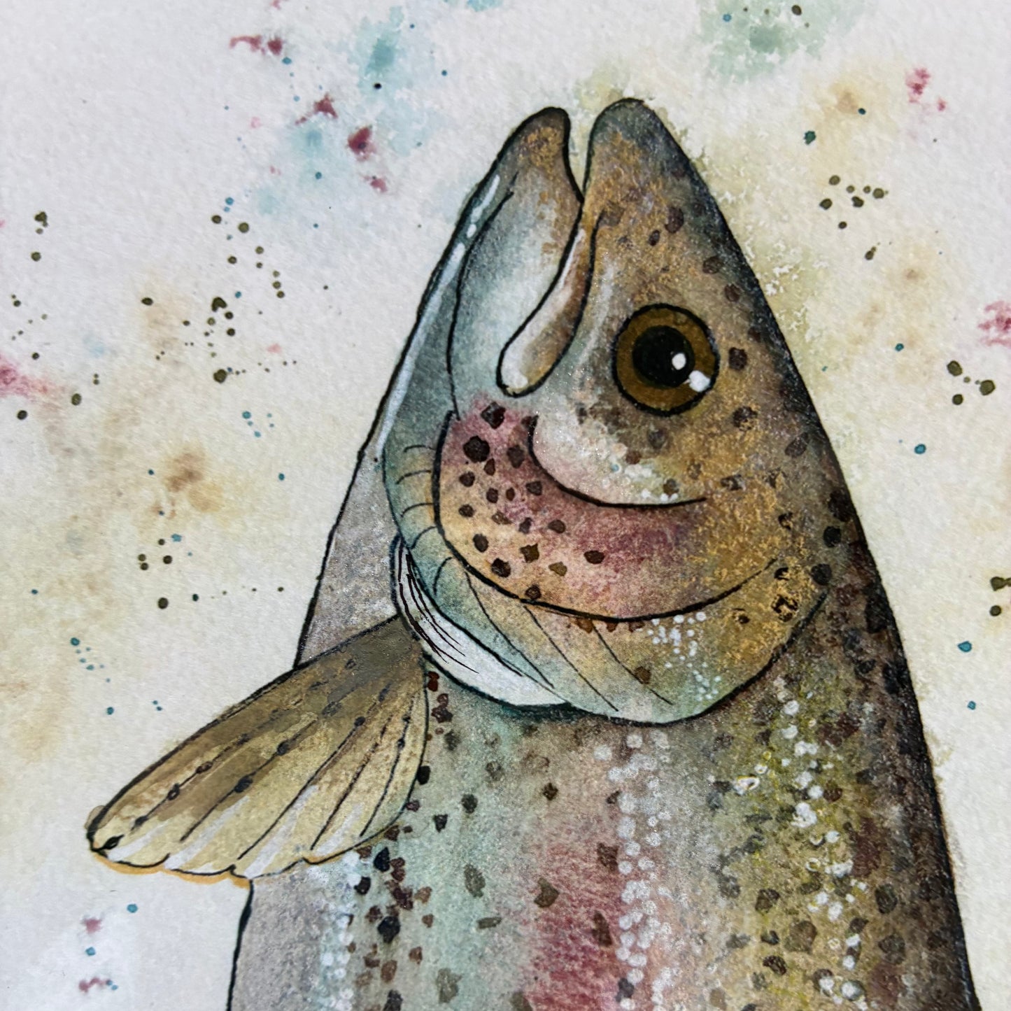 Framed Rainbow Trout