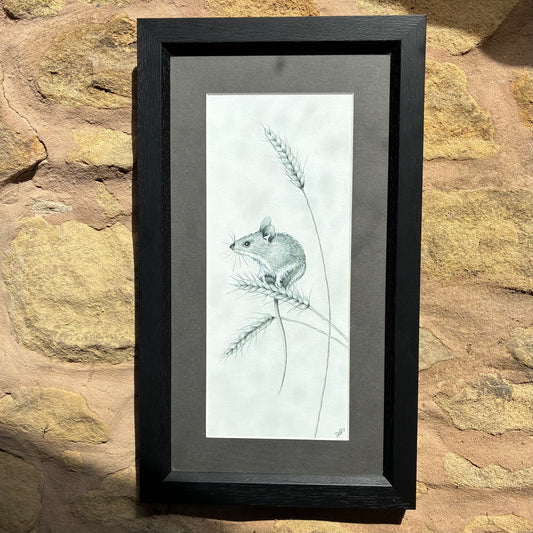 Framed Autumn  Mouse