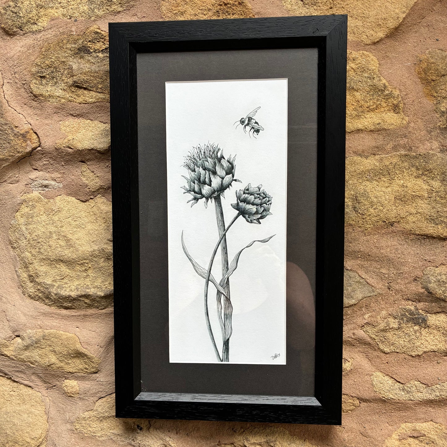 Framed Bee & Alium