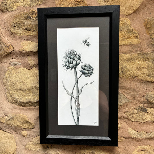 Framed Bee & Alium