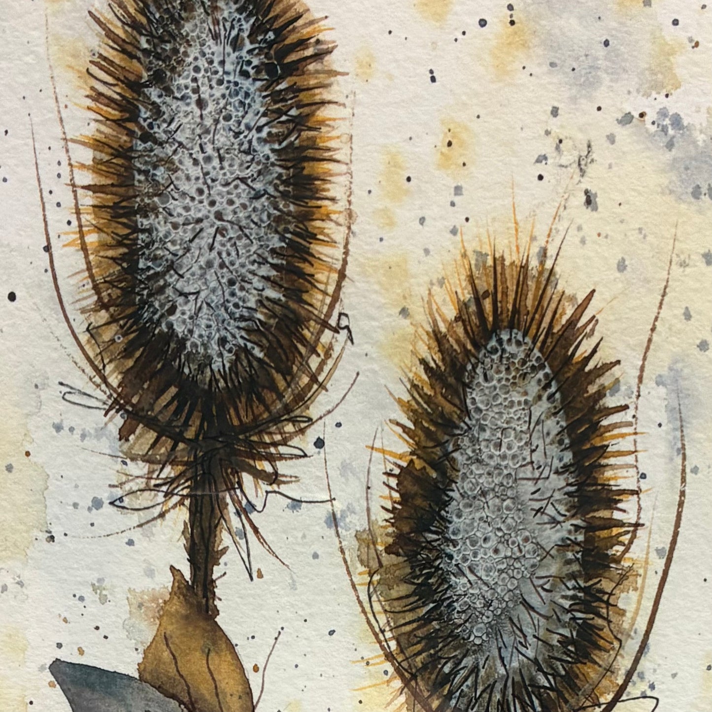 Two Teasles