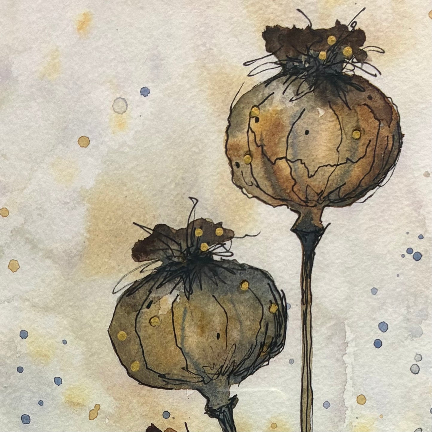 Poppy Heads