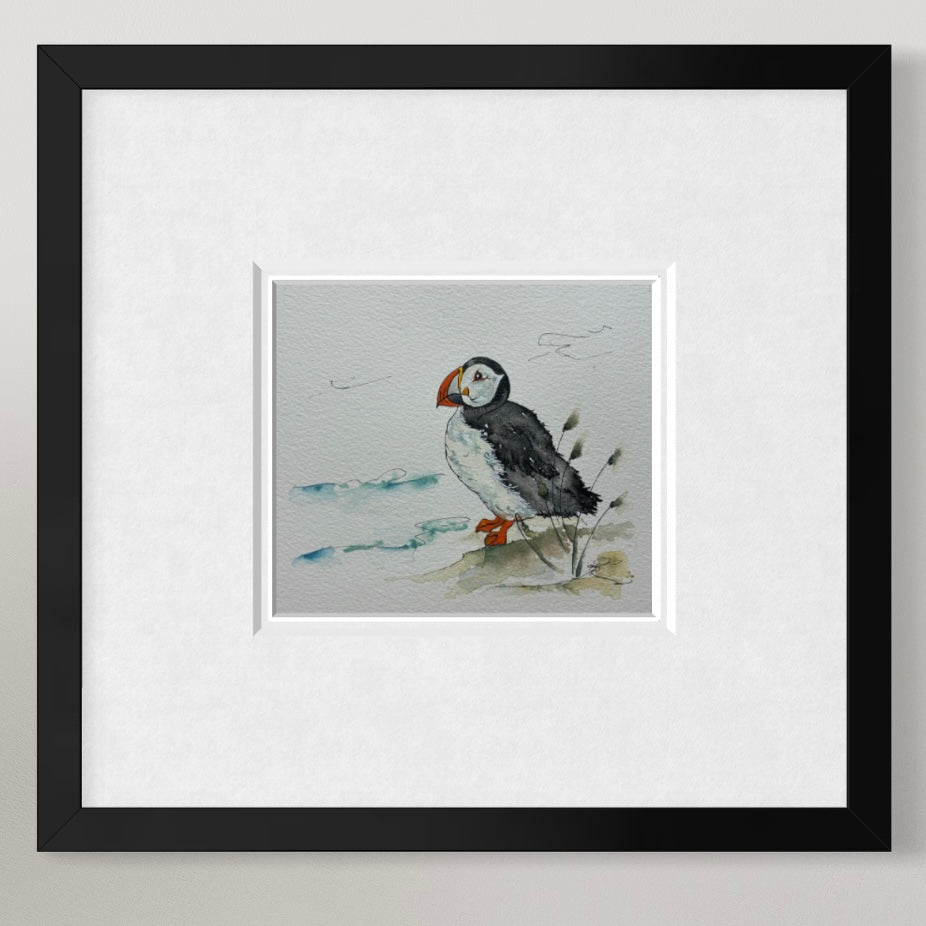 Puffin