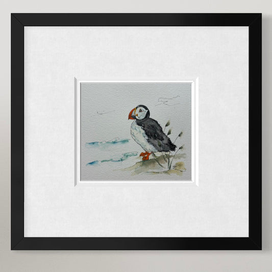 Puffin