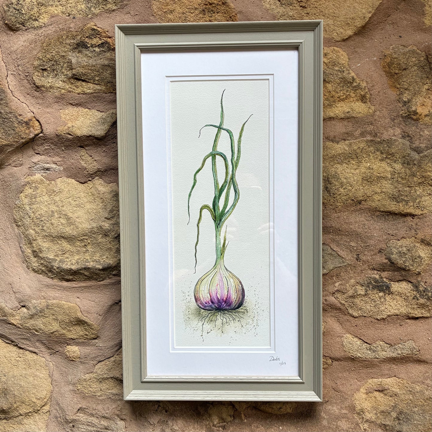 Framed Garlic
