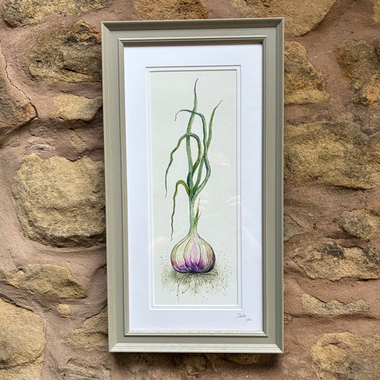 Framed Garlic