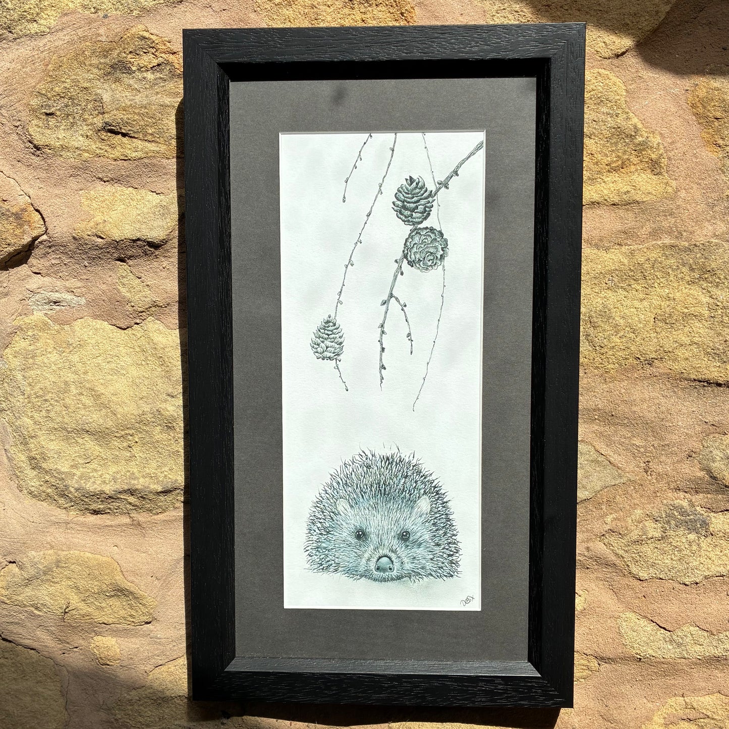 Framed Hedgehog