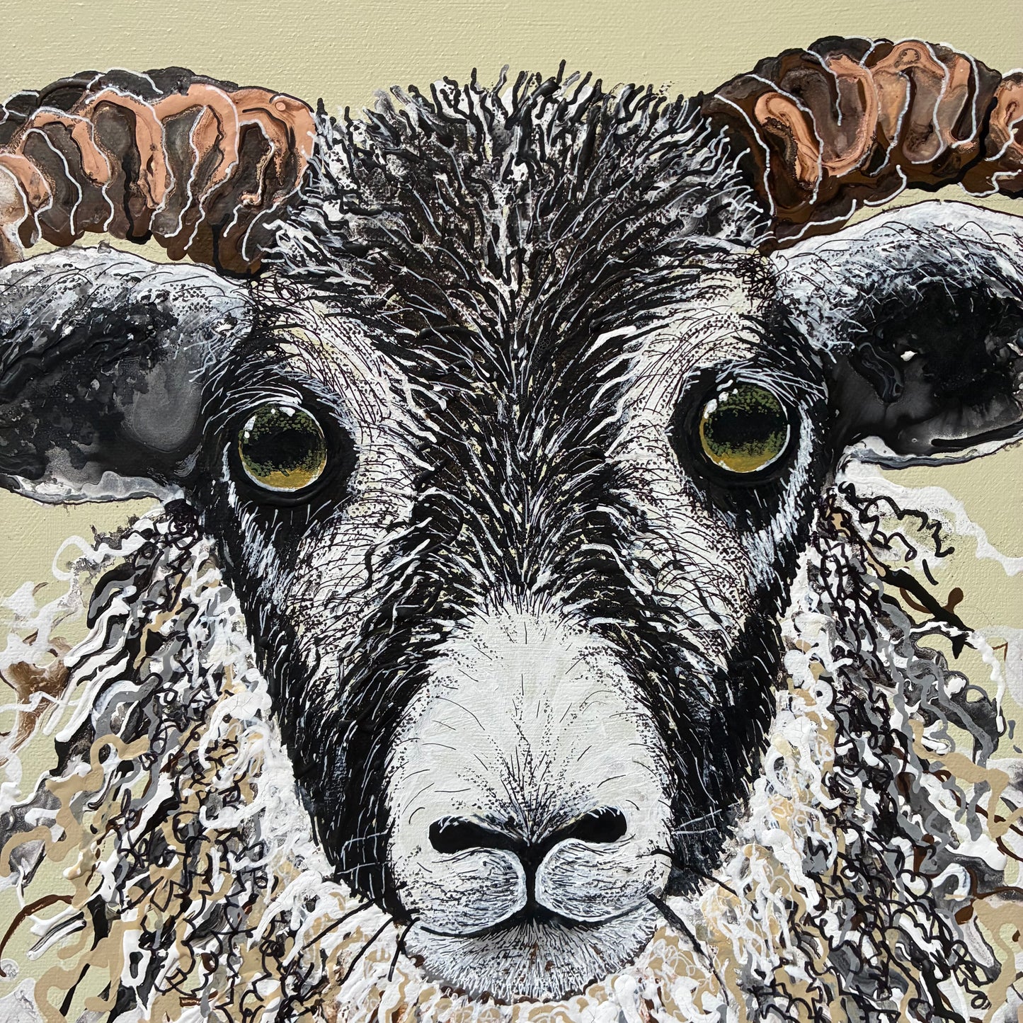 Mr Sheep