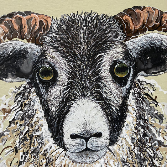 Mr Sheep