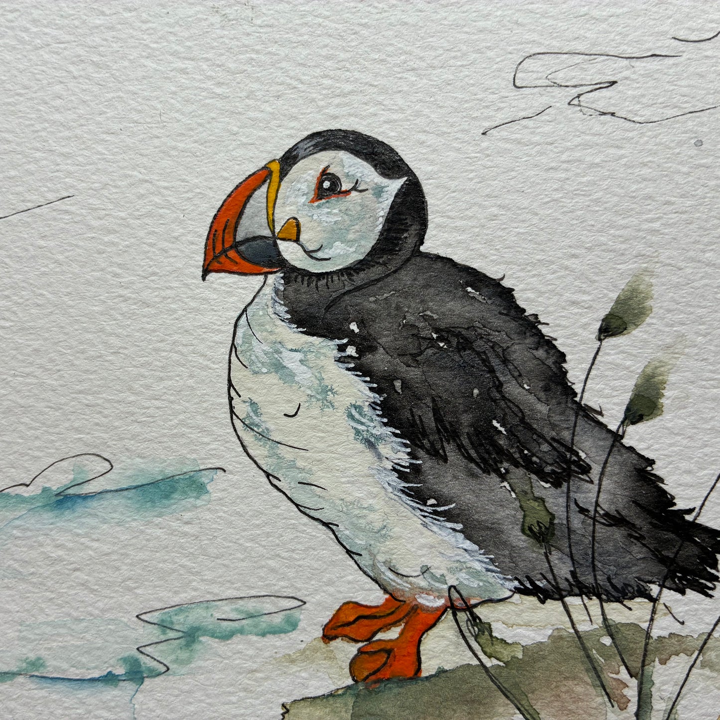 Puffin