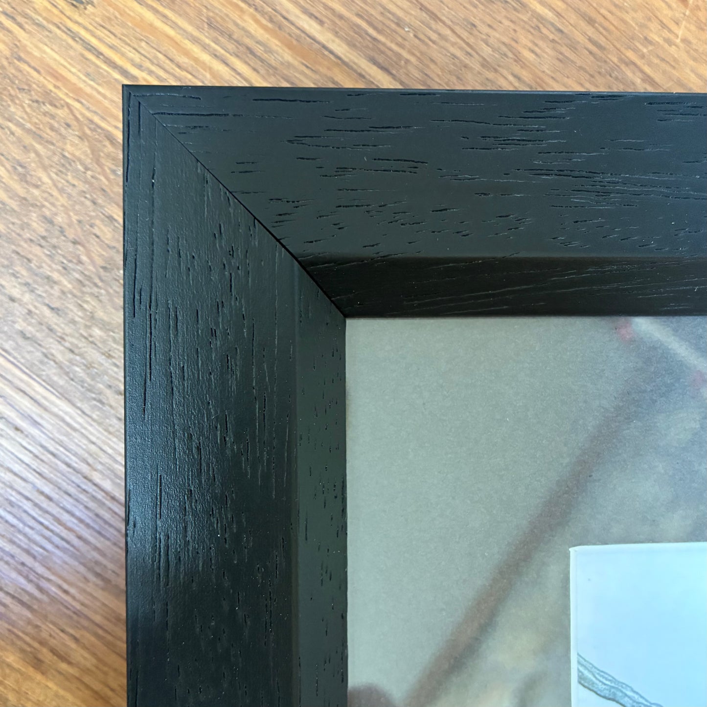 Framed Hedgehog