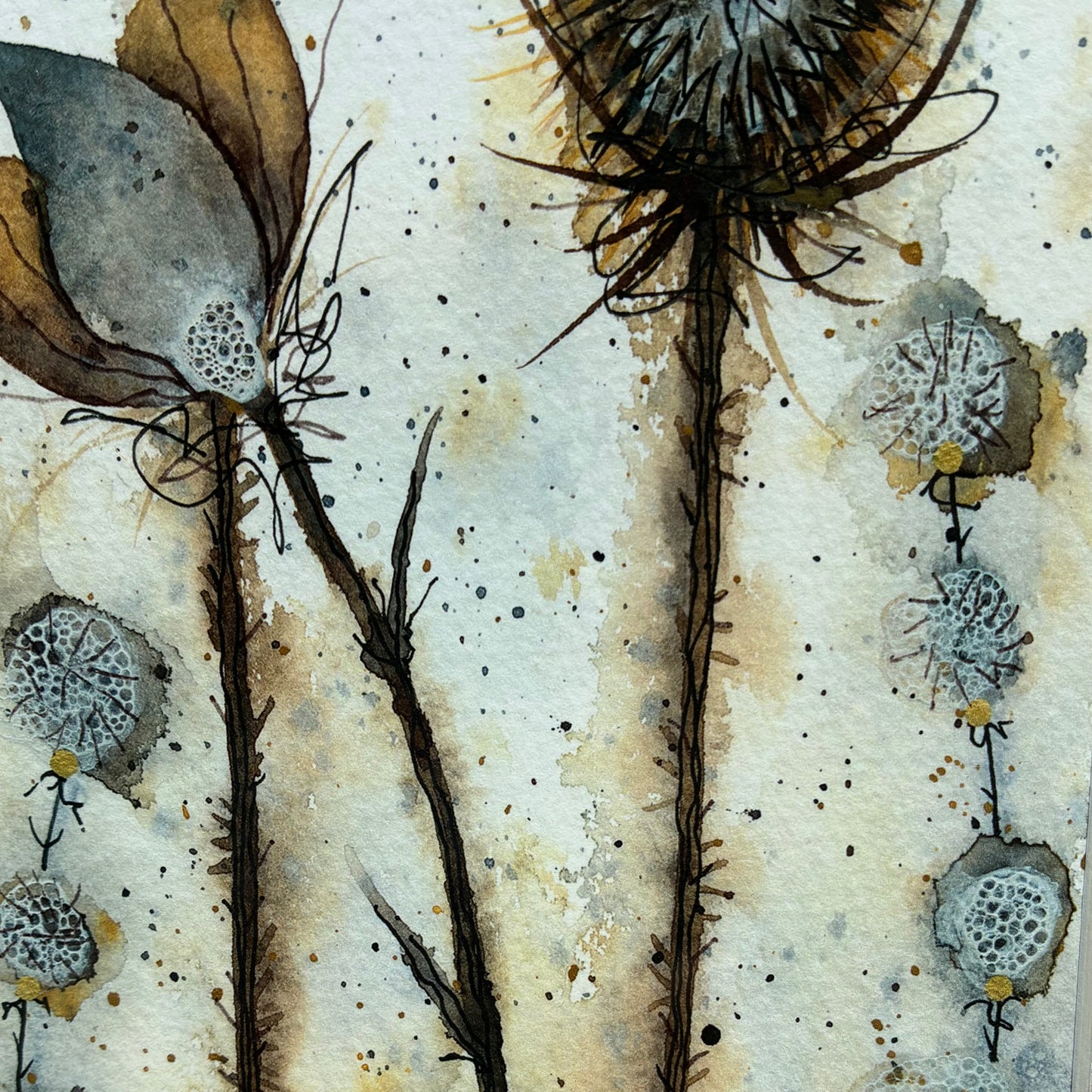 Framed Teasles