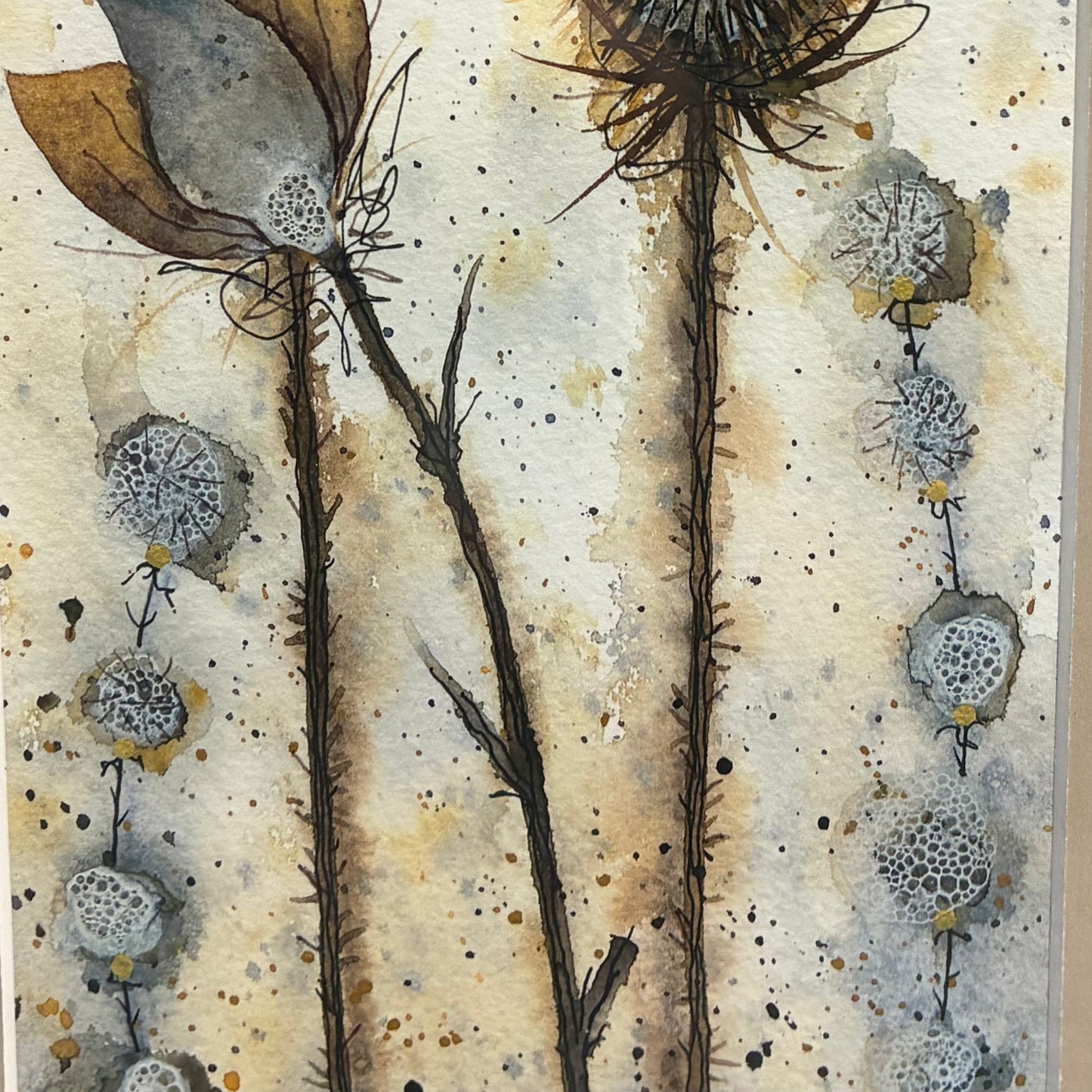 Two Teasles