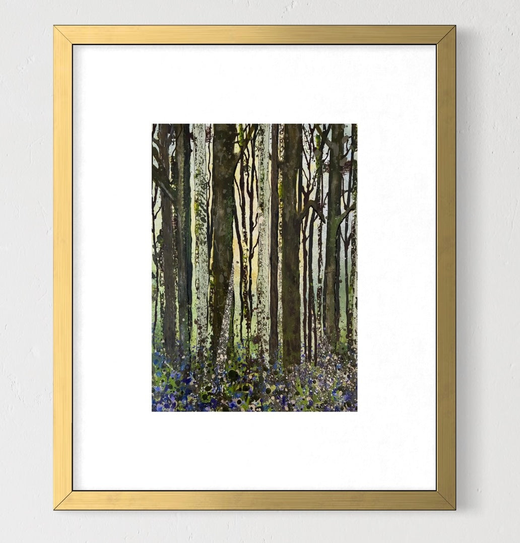 Bluebell woods
