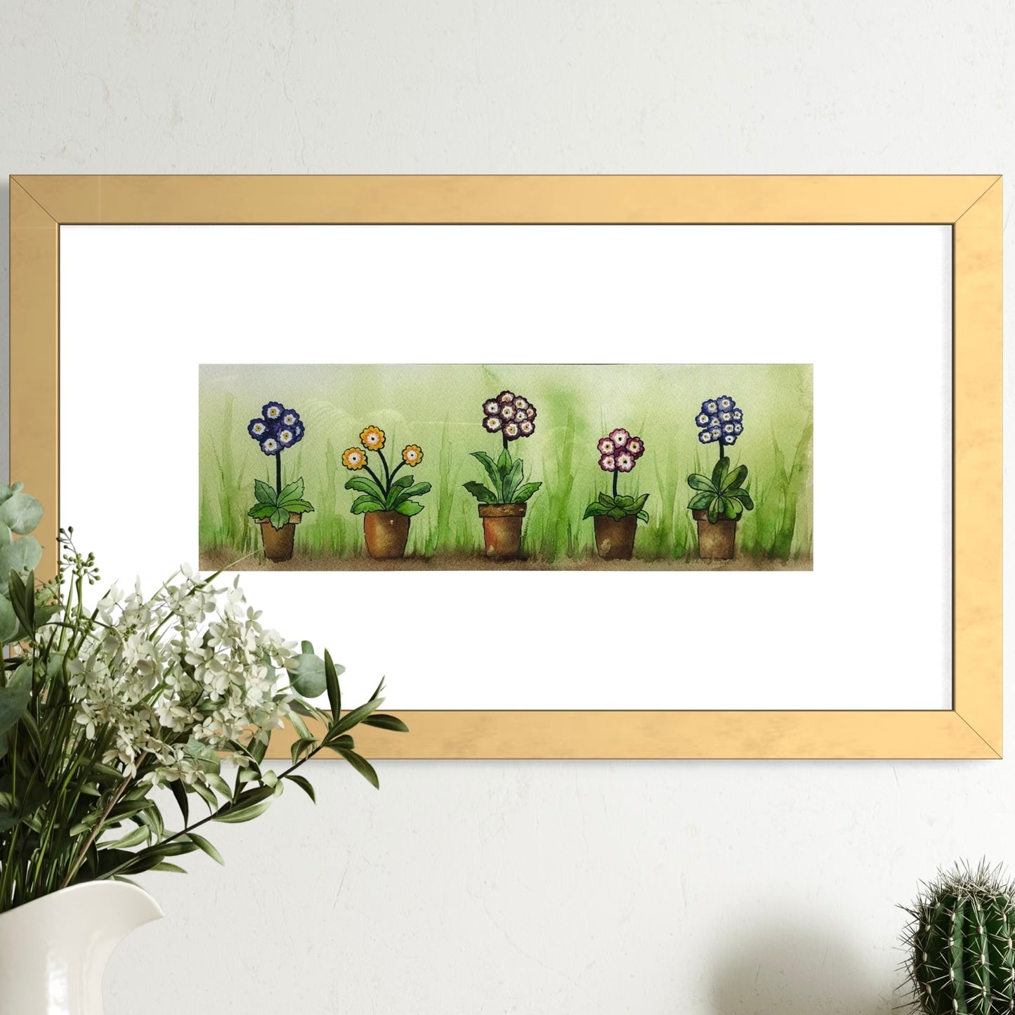 Potted Auricula