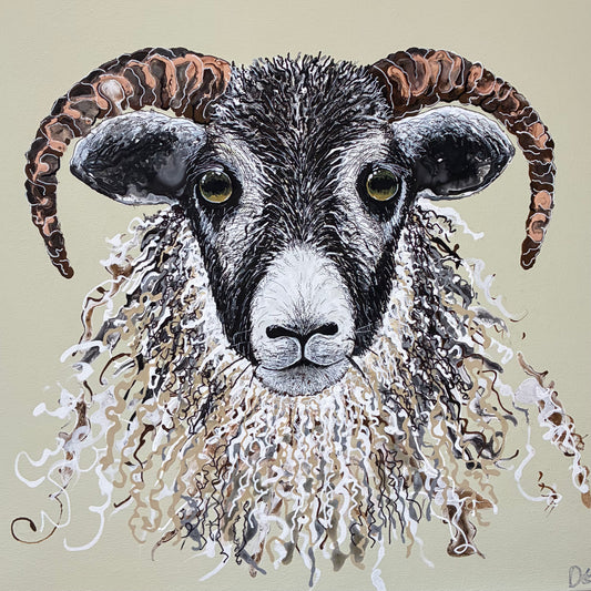 Mr Sheep