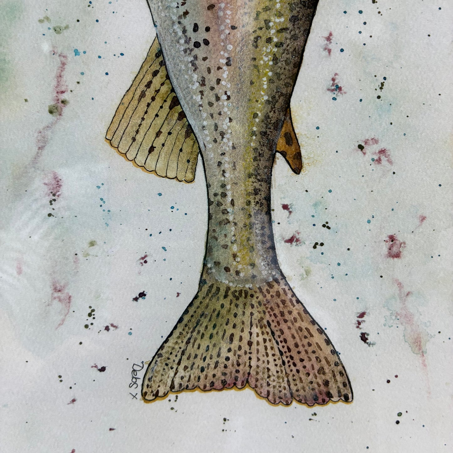 Framed Rainbow Trout