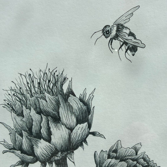 Bee & Alium