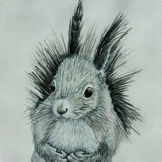 Squirrel