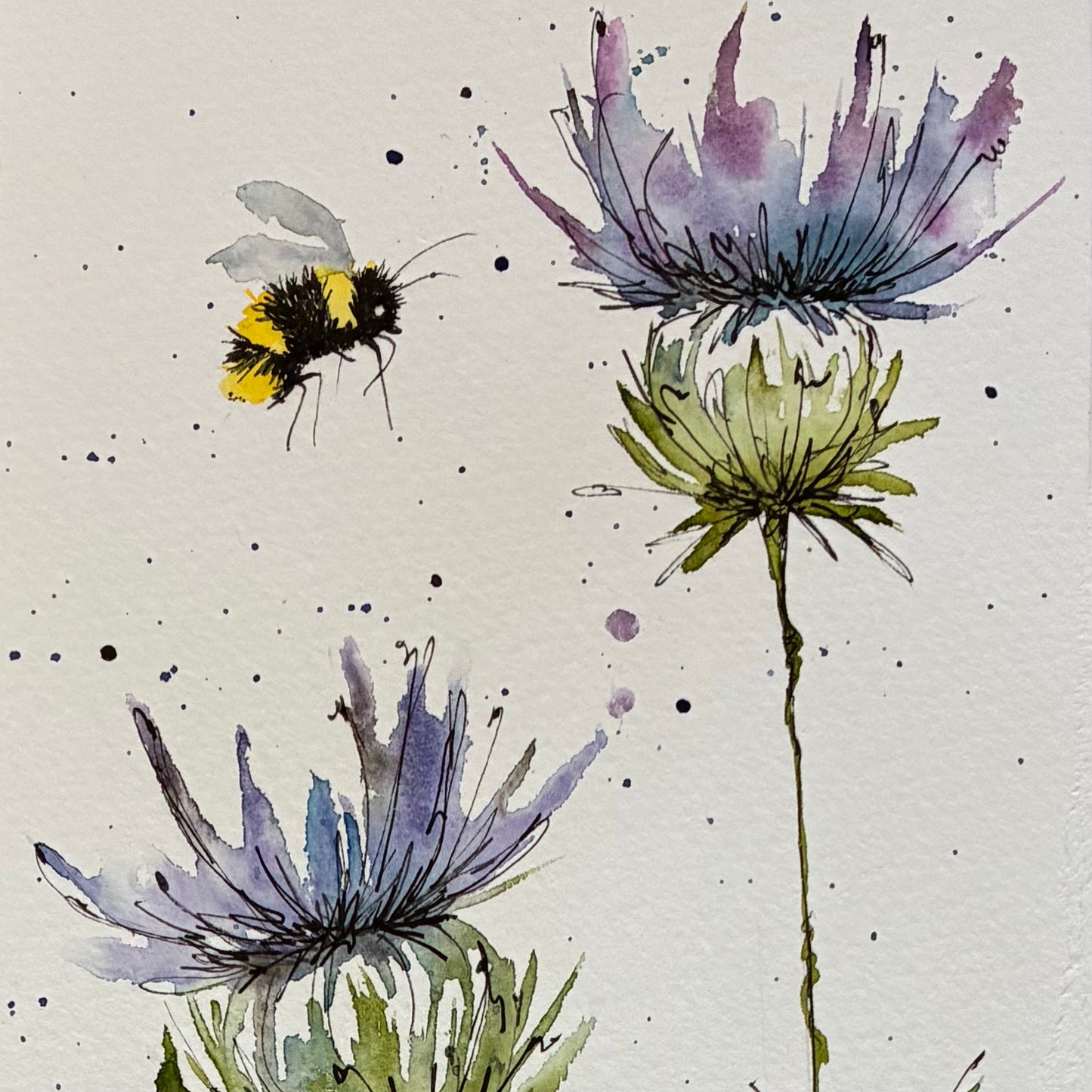 Thistle & Bee