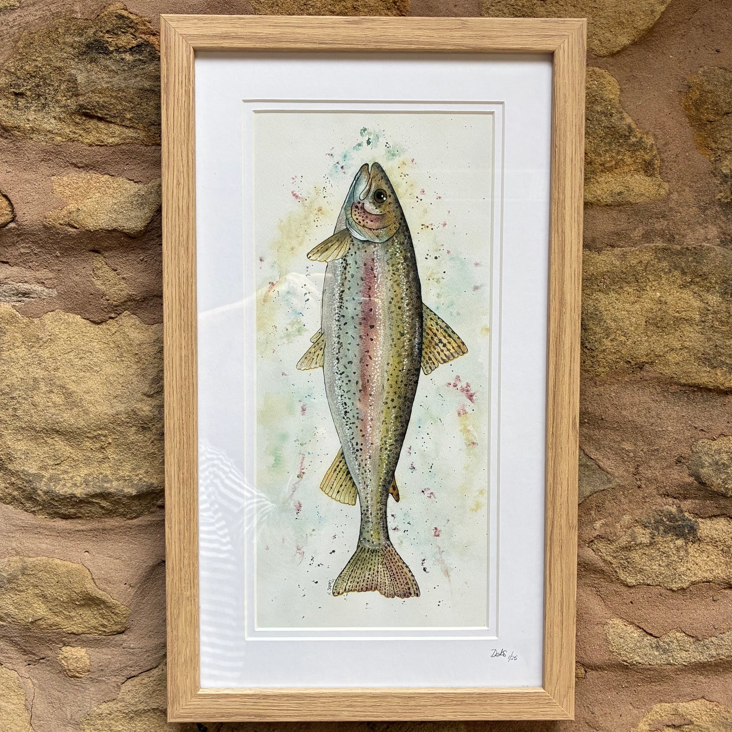 Framed Rainbow Trout