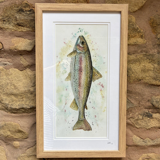 Framed Rainbow Trout