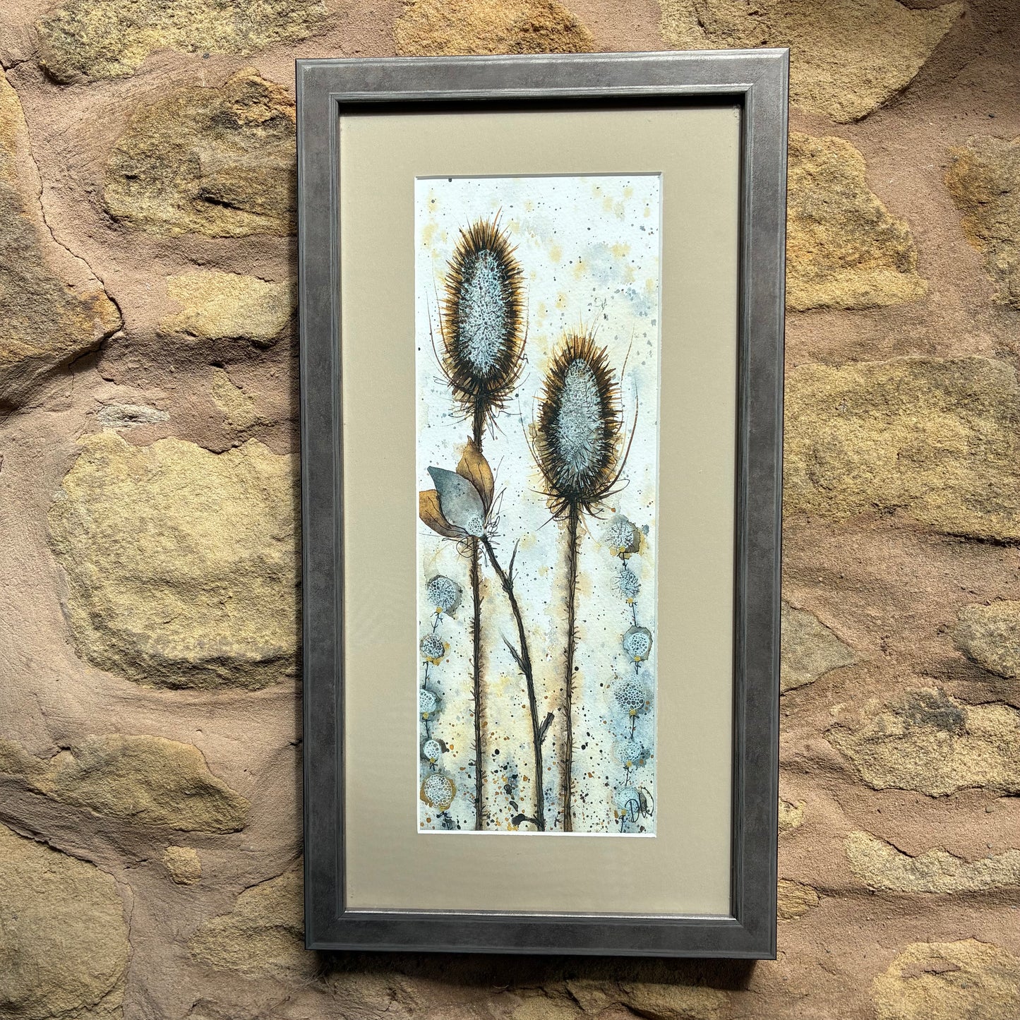 Framed Teasles