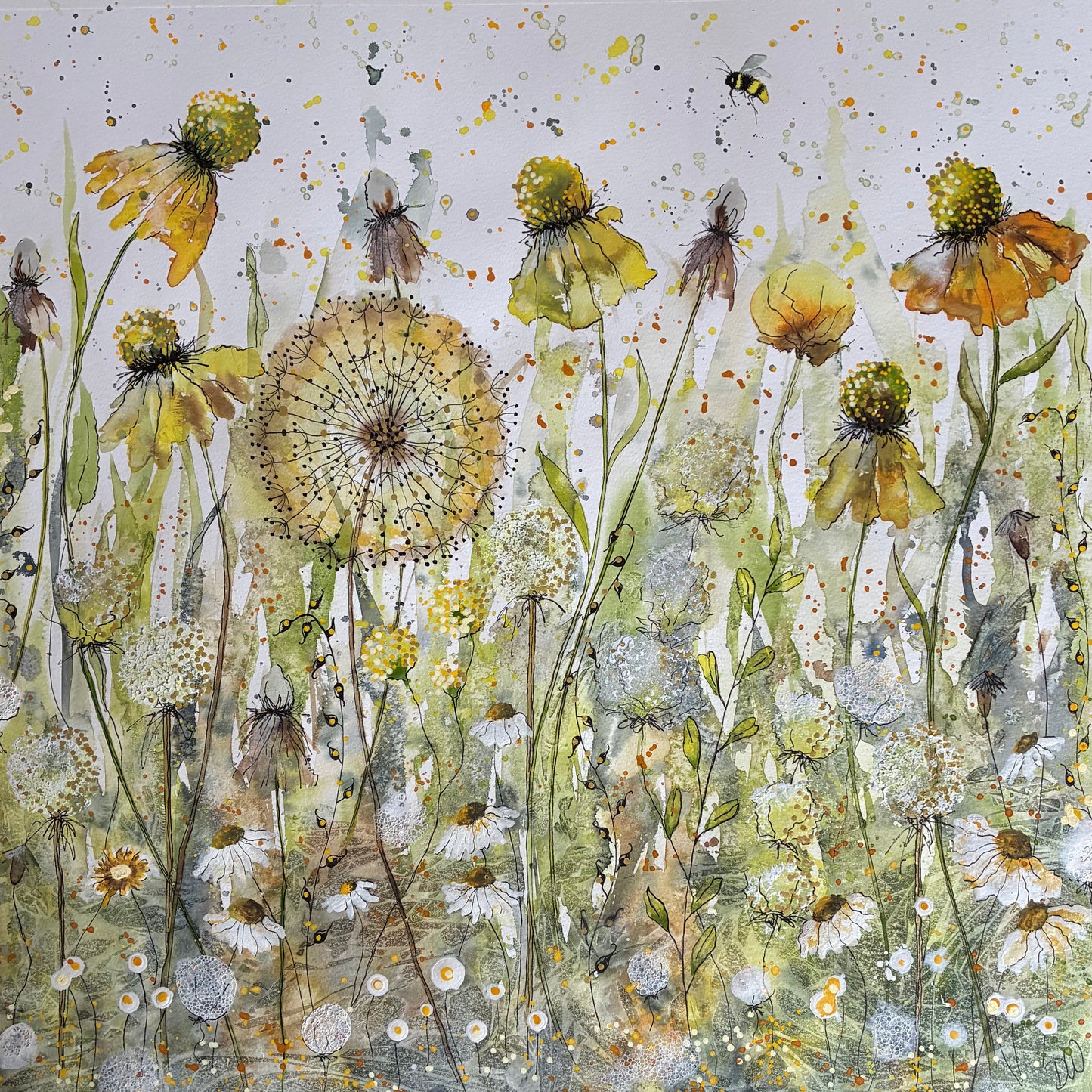 Dandelion Dream
