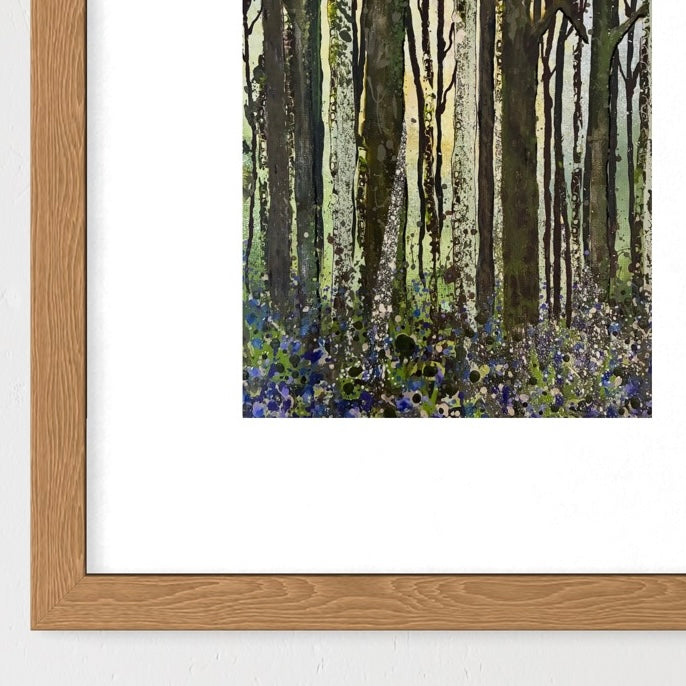 Bluebell woods