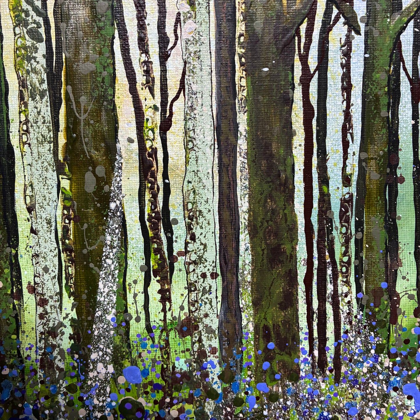 Bluebell woods