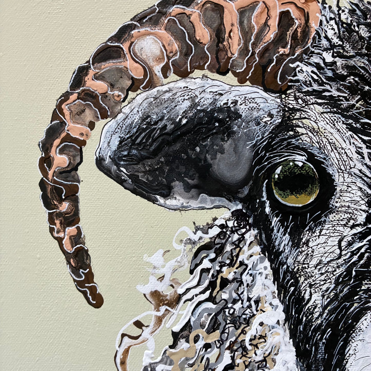 Mr Sheep