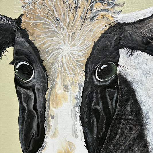 Friendly Cow