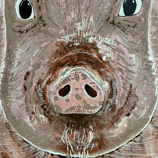 Fiesty Pig