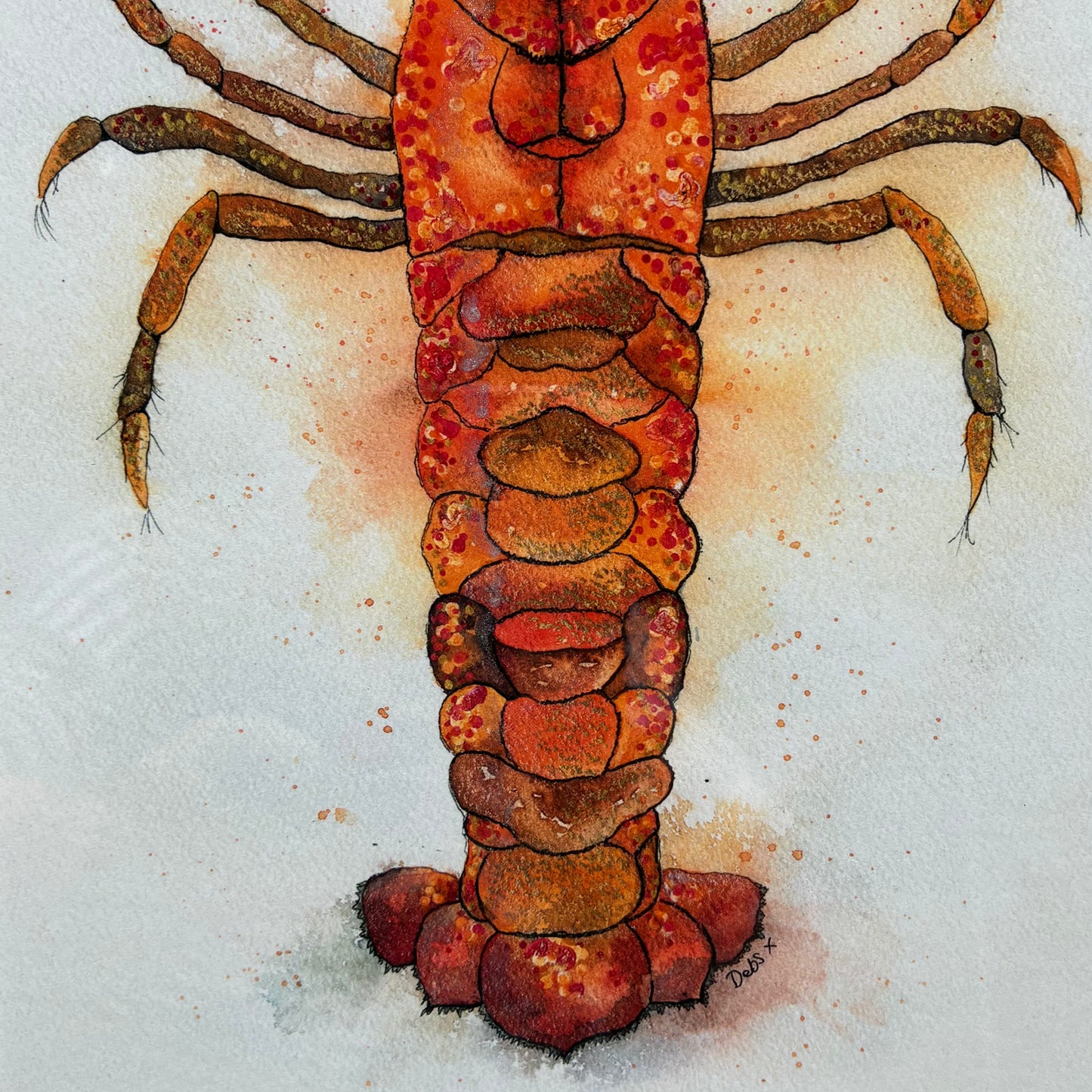 Framed Lobster