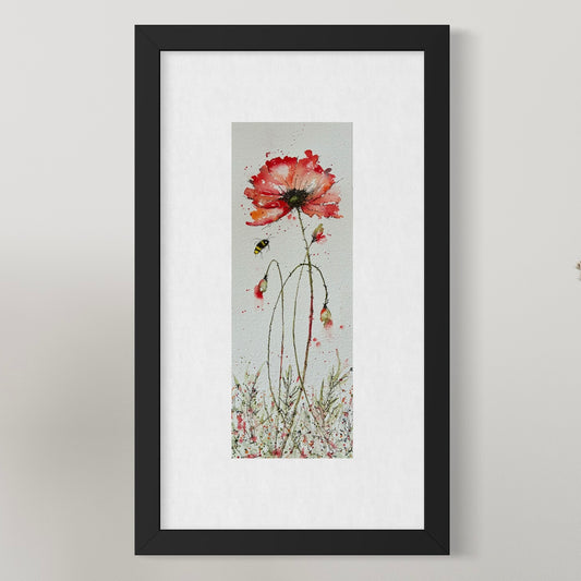 Red Poppy